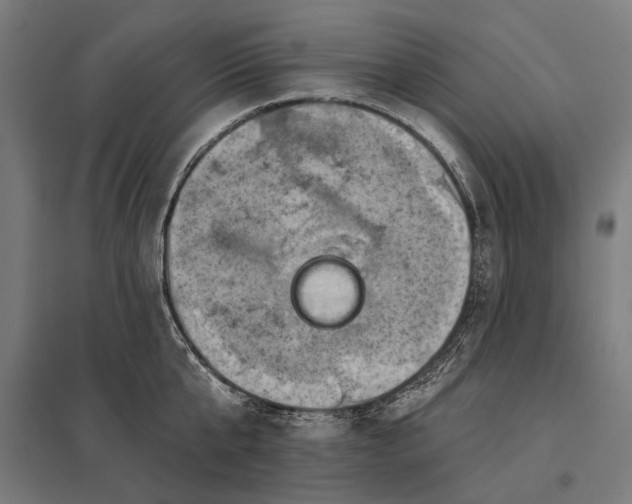 X0000097830807200803281159