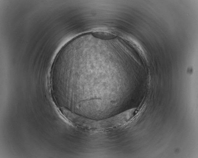 X0000097830808200803281159