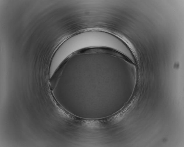 X0000097830809200803281159