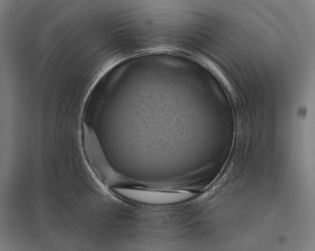 X0000097830810200803281159