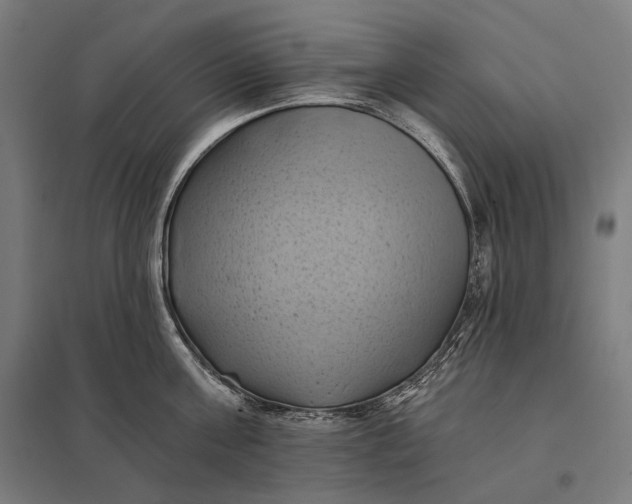 X0000097830811200803281159