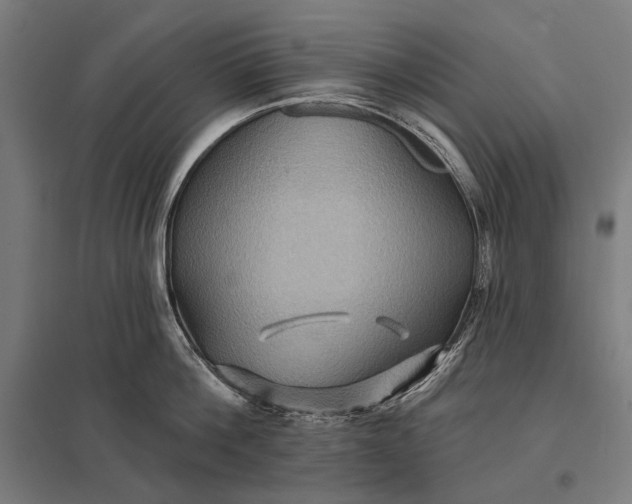 X0000097830812200803281159