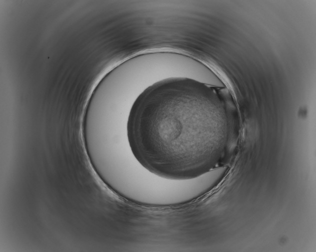 X0000097830813200803281159