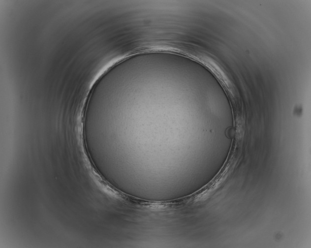 X0000097830814200803281159