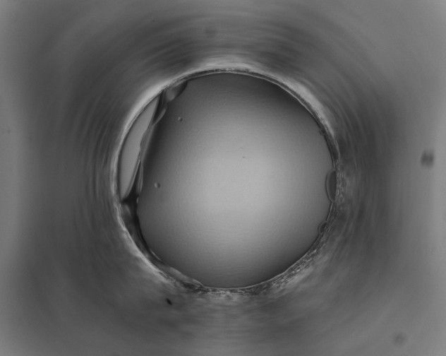 X0000097830815200803281159