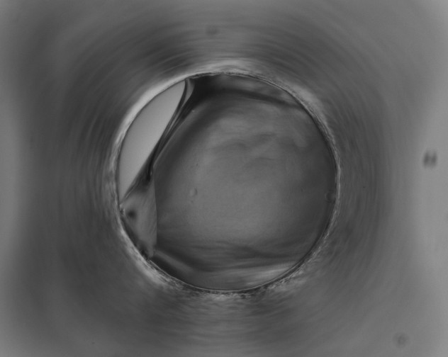 X0000097830816200803281159