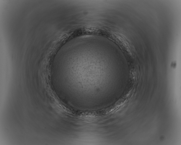 X0000097830817200803281158