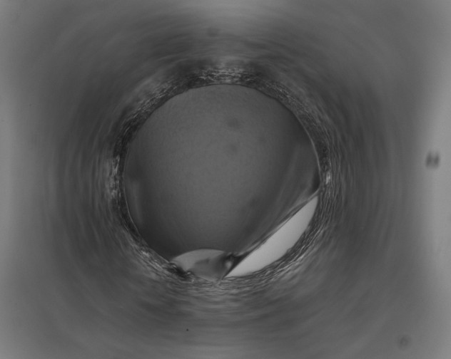 X0000097830818200803281158