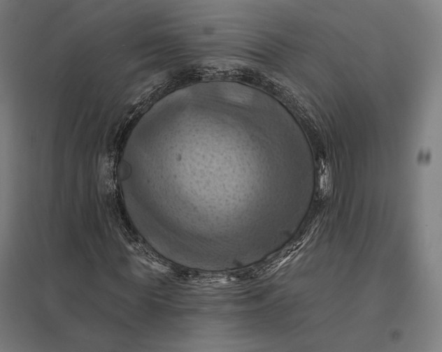 X0000097830819200803281158