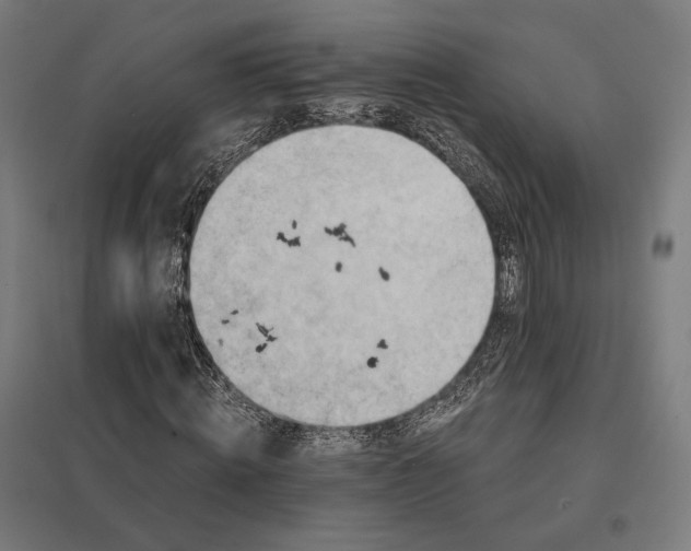 X0000097830820200803281158