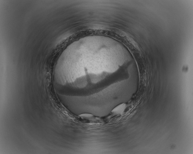 X0000097830821200803281158