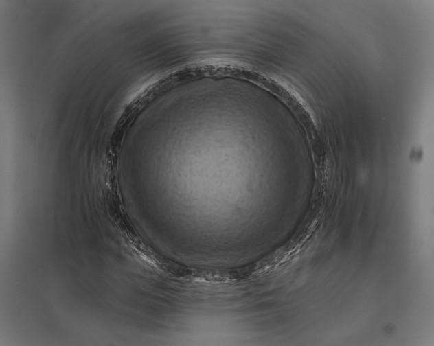 X0000097830823200803281158