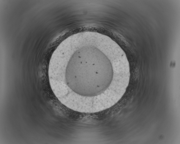 X0000097830824200803281158