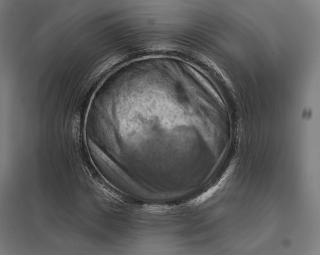 X0000097830825200803281158