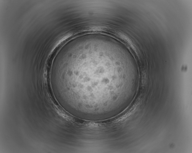 X0000097830827200803281158