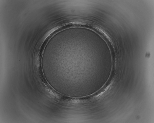 X0000097830829200803281158