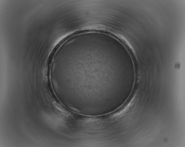 X0000097830830200803281158