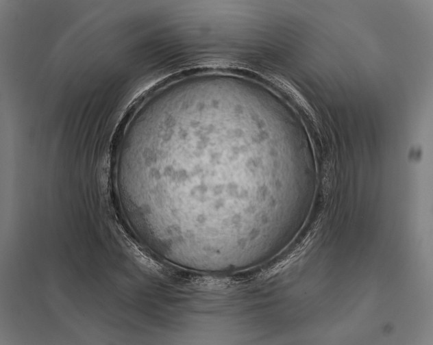 X0000097830831200803281158