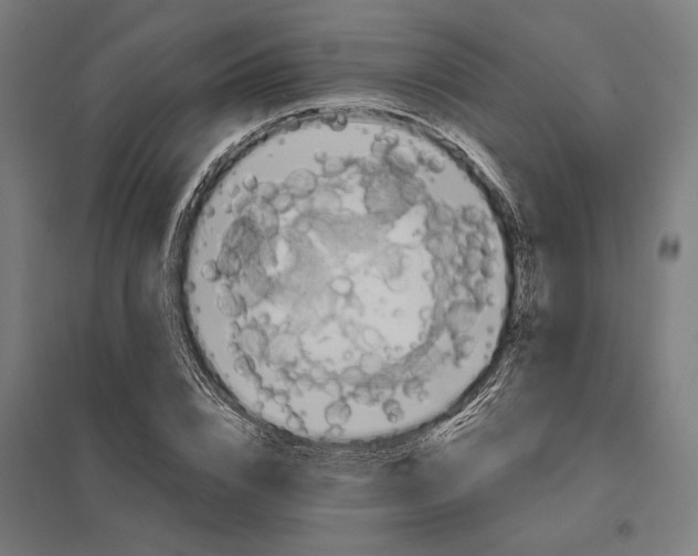 X0000097830832200803281158