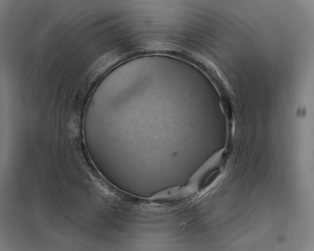 X0000097830833200803281158