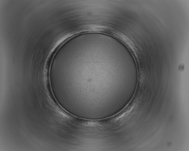 X0000097830835200803281158