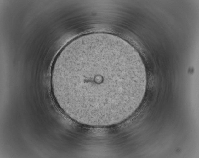 X0000097830836200803281158