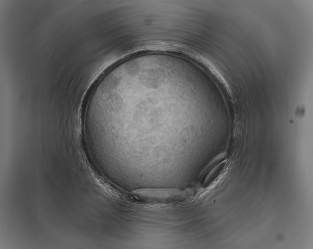 X0000097830837200803281158