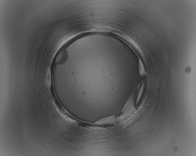 X0000097830838200803281158