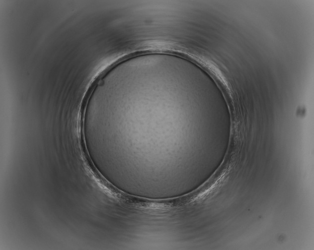 X0000097830839200803281158