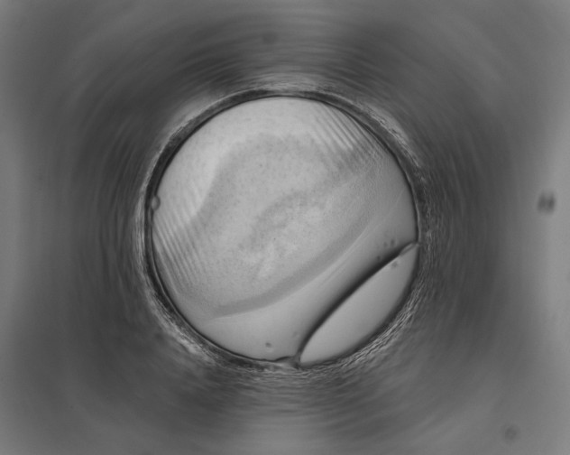 X0000097830840200803281158