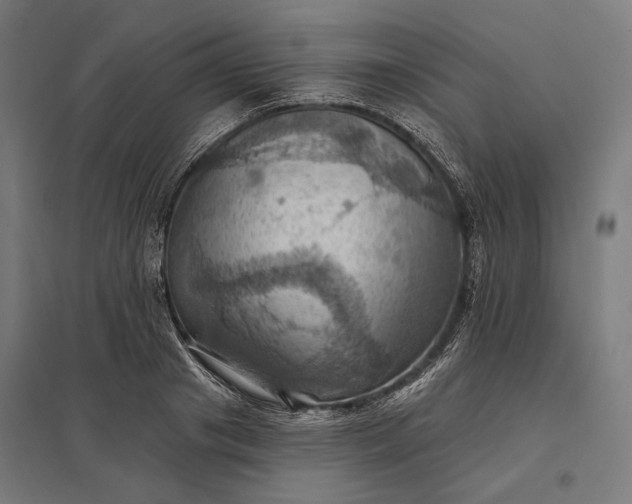 X0000097830841200803281158