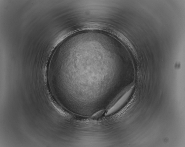 X0000097830842200803281158