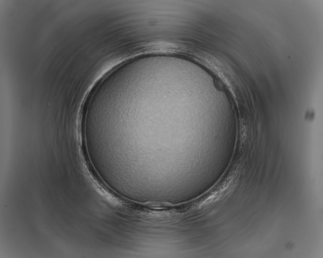 X0000097830843200803281158