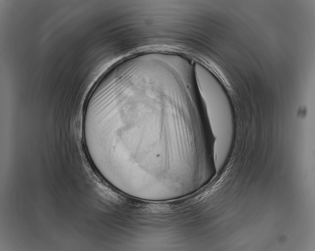 X0000097830844200803281158