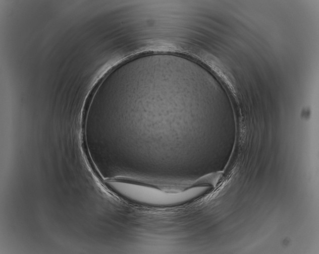 X0000097830845200803281159