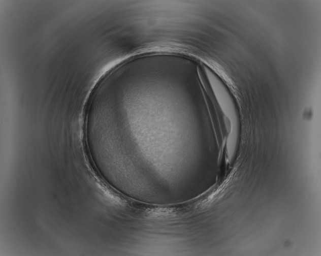 X0000097830846200803281159