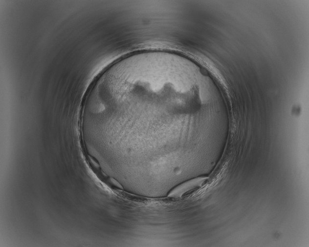 X0000097830847200803281159