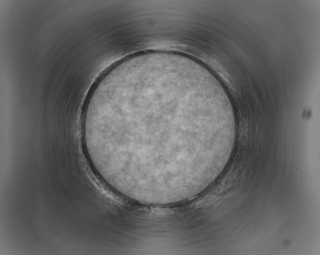 X0000097830848200803281159