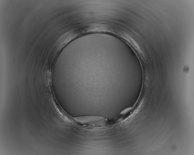 X0000097830849200803281159