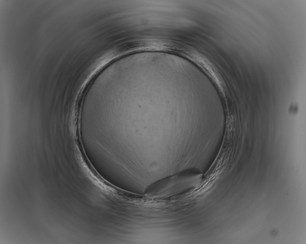 X0000097830851200803281159