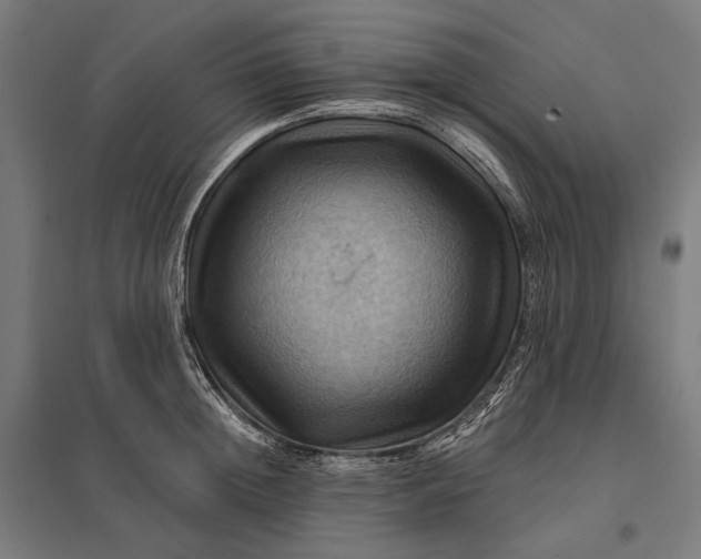 X0000097830852200803281159