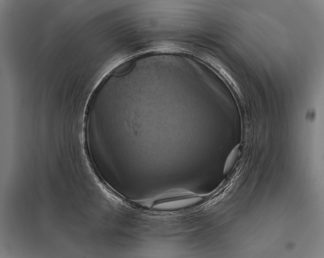 X0000097830853200803281159