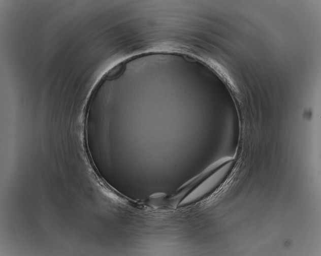 X0000097830854200803281159