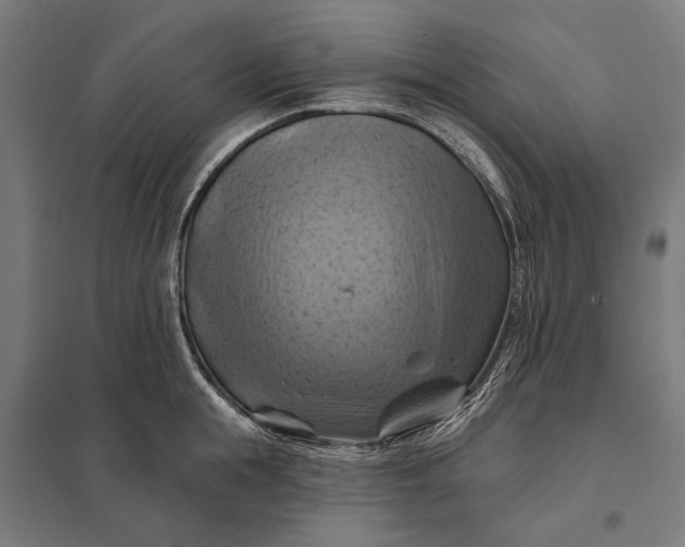 X0000097830855200803281159