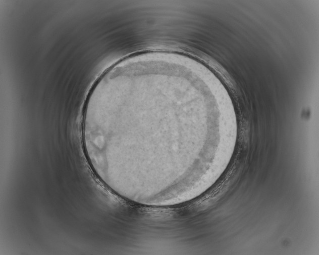 X0000097830856200803281159