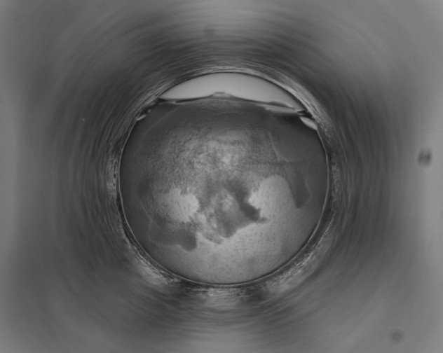 X0000097830857200803281159