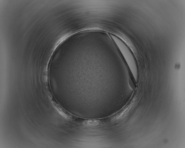 X0000097830858200803281159