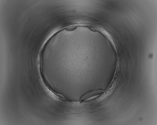 X0000097830859200803281159