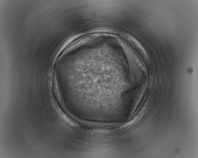 X0000097830860200803281159