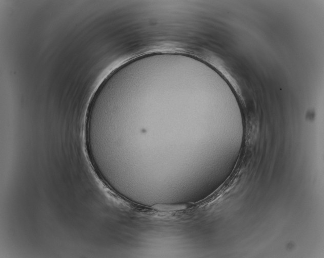 X0000097830861200803281159